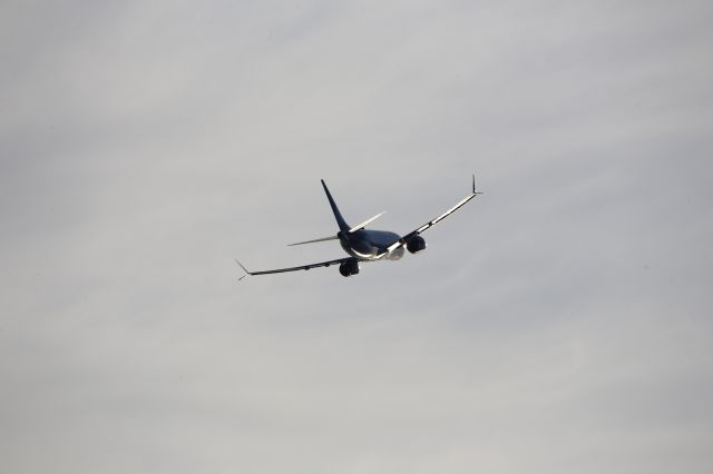 Boeing 737-800 (N8515X)
