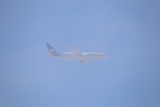 Boeing 787-8 (N966AM)