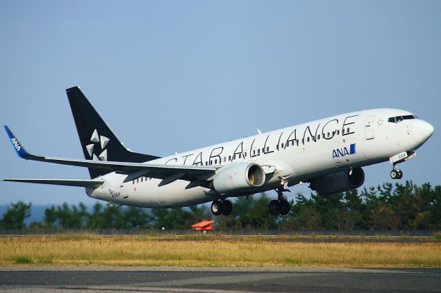 Boeing 737-800 (JA51AN)