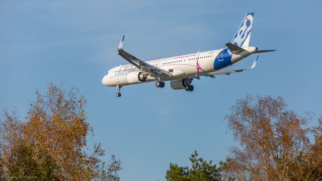 Airbus A321 (D-AVZO)