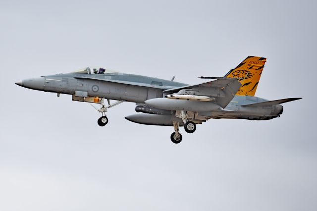 Boeing Hornet (A2116) - McDonnell FA-18A serial A21-16, on strength with RAAF 75 sqn YPEA 21 February 2020. Still with 2 OCU 75 years anniversary marking.