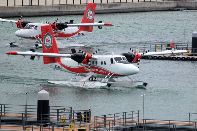 De Havilland Canada Twin Otter (8Q-TAC) - Taxiing to the jetty on 3-Jan-24 arriving from Reethi Faru.