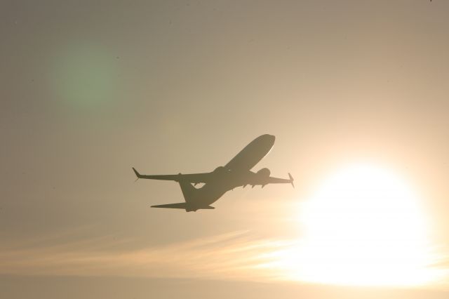 Boeing 737-800 (N8519R)