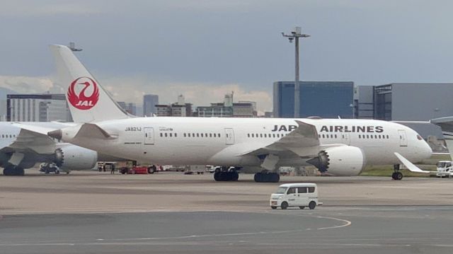 Boeing 787-8 (JA821J) - Taken on May 8, 2023