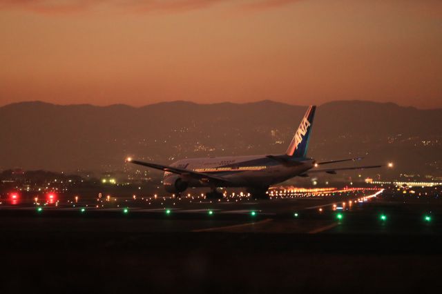 Boeing 777-200 (JA745A) - November 24th 2019:ITM-HND.