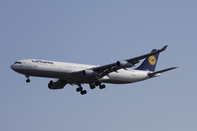 Airbus A340-600 (D-AIFC) - Final Approach to NRT Airport Runway 34L on 2011/12/29