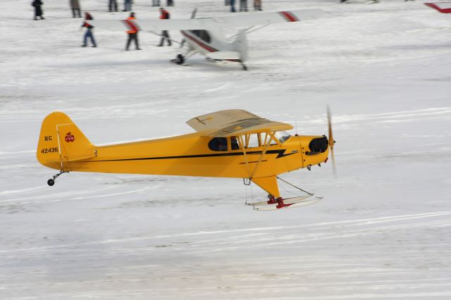 Piper NE Cub (NC42436) - EAA Ski Plane Fly-In pre Covid-19. br /br /As seen from the museum window. 