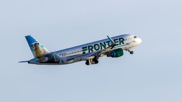 Airbus A320neo (N236FR) - Frontier Airlines A320 neo taking off from at PHX on 8/1/22. Taken with a Canon 850D and Sigma 150-600mm Contemporary lens.