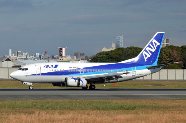 Boeing 737-500 (JA8404) - 2014-11-15