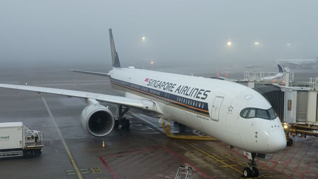 Airbus A350-900 (9V-SMA)