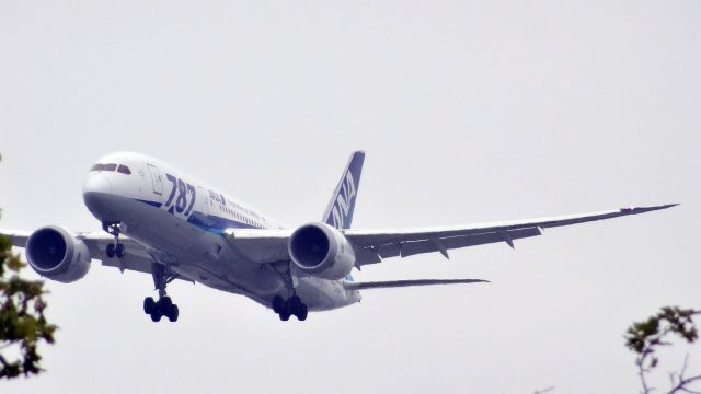 Boeing 787-8 (JA823A) - JA823A All Nippon Airways Boeing 787-8 Dreamliner - cn 42246 / ln 120br /First Flight * Aug 2013br /Age 1.8 Yearsbr /25-May-2015 B788/L Narita Intl (RJAA / NRT) San Jose Intl (KSJC) 17:35 JST 10:15 PDT 8:40