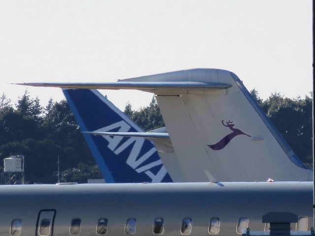 UNCLEAR — - I take a picture on Jan 1, 2017.<br>From front, VistaJet and Deer Jet. And next Im very interested in what a tail assembly of seen Biz is.