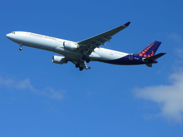 Airbus A330-300 (OO-SFY)