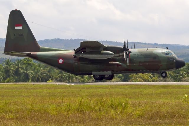 Lockheed C-130 Hercules (A1309) - Indonesia Air Force Lockheed KC-130B Hercules