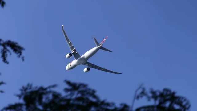 Airbus A330-900 (CS-TUO)