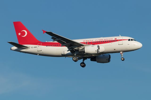 Airbus A319 (TC-ANA) - 06.07.2017 G20 Summit Hamburg, Germany
