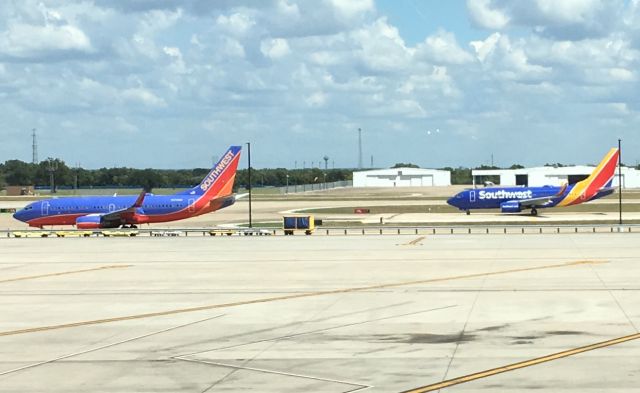 Boeing 737-900 — - Old and new SWA livery 