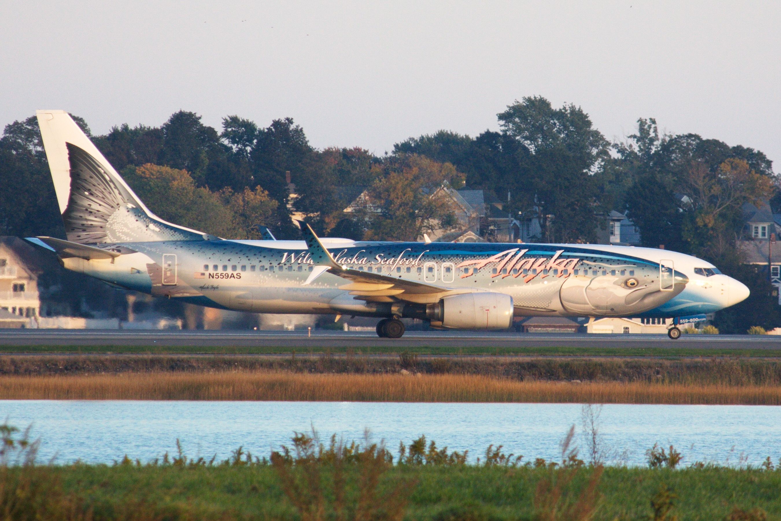 Boeing 737-800 (N559AS)