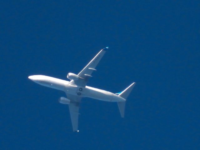 Boeing 737-800 (C-GJLS) - WJA1417br /MCO-YYCbr /05/07/22