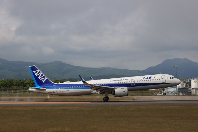 Airbus A321neo (JA142A) - June 11th 2022:HND-HKD.