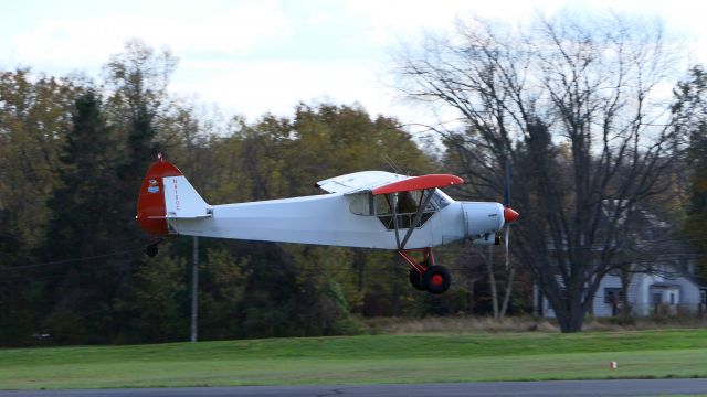 Piper L-21 Super Cub (N8180C)