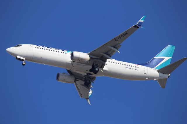 Boeing 737-800 (C-FCSX)