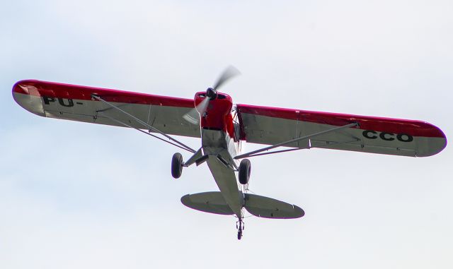 Piper L-21 Super Cub (PU-CCO)