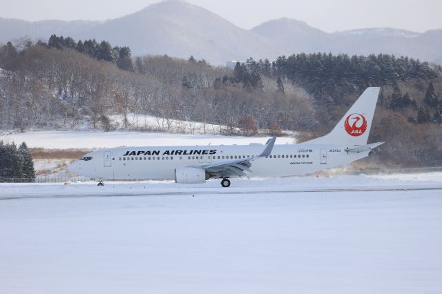 Boeing 737-800 (JA340J) - December 18. 2022:HND-HKD.