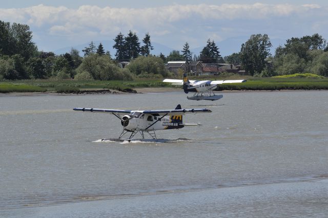 De Havilland Canada DHC-2 Mk1 Beaver (C-GOLC)