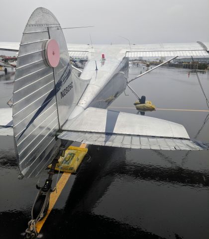 Cessna 170 (N2826C) - Merrill Field tie-down lot, Anchorage AK