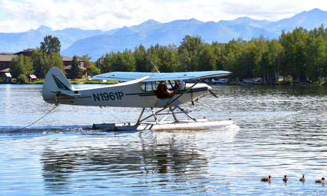 Piper L-21 Super Cub (N1961P) - Piper PA-18-150 Super Cub N1961P in Anchorage Lake Hood Seaplane Base