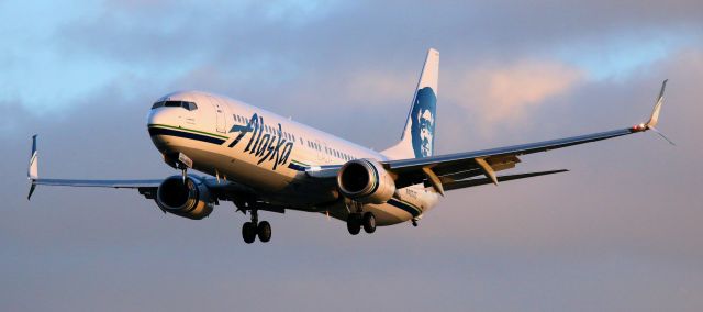 Boeing 737-700 (N483AS) - Arrival From SJD, Landing 30L  01-01-2017