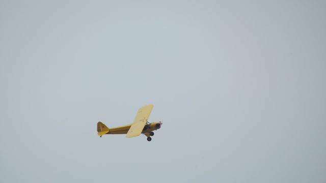 Piper NE Cub —
