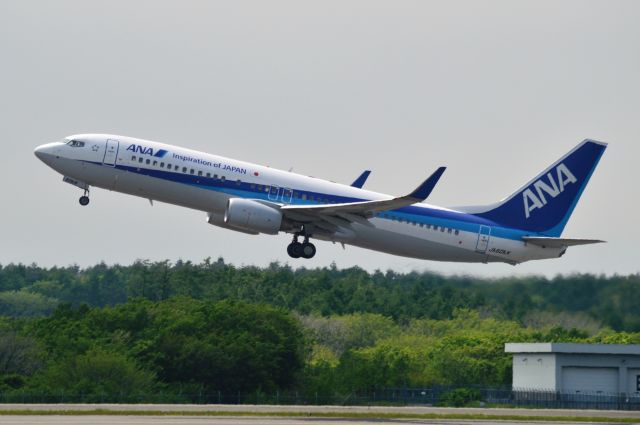 Boeing 737-800 (JA60AN) - 2015-05-30