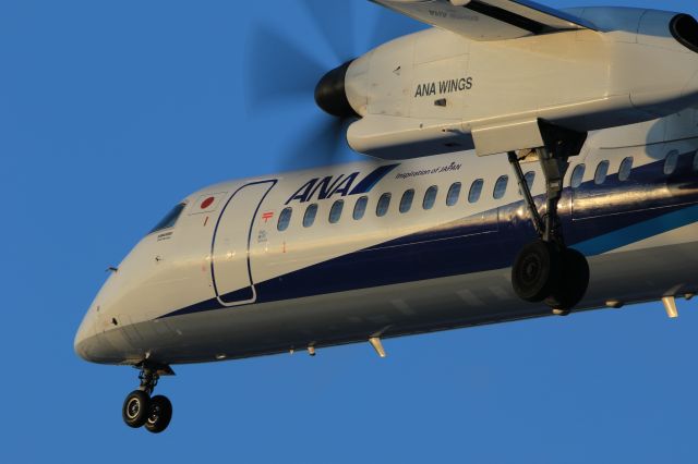 de Havilland Dash 8-400 (JA462A) - February 11th 2020:CTS-HKD.