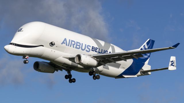 AIRBUS A-330-700 Beluga XL (F-GXLH) - F-GXLH landing runway 25