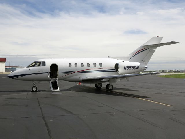 Hawker 800 (N559DM)