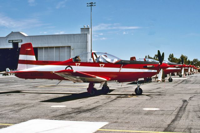 HAWKER DE HAVILLAND PC-9 (A23036) - AUSTRALIA - AIR FORCE - PILATUS PC-9A - REG : A23-036 (CN 536) - EDINBURGH RAAF BASE ADELAIDE SA. AUSTRALIA - YPED 3/11/1990