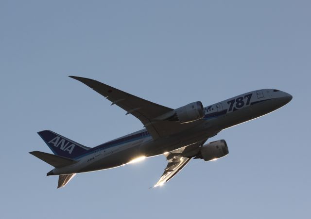 Boeing 787-8 (JA821A)