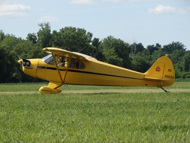 Piper L-14 Cub Cruiser (N38633)