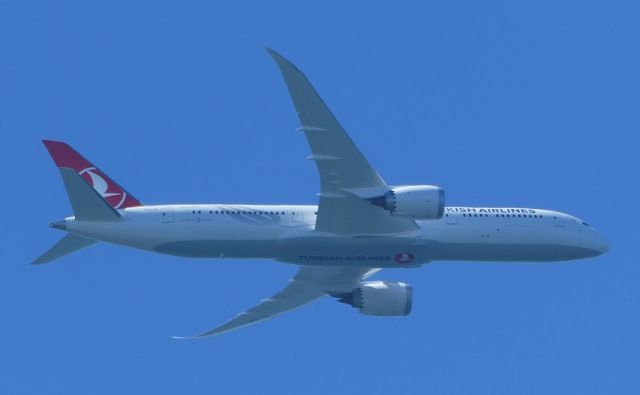Boeing 787-8 (TC-LLN)