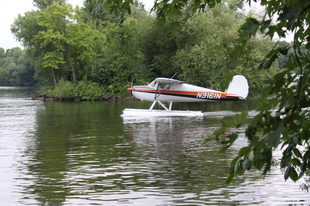 Cessna 120 (N3161N)