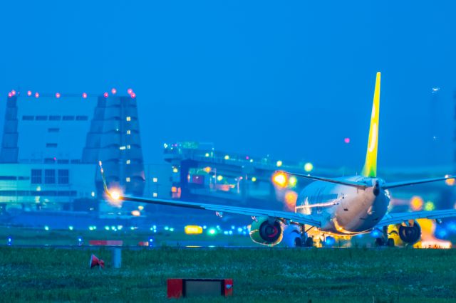 Boeing 737-800 (JA803X)