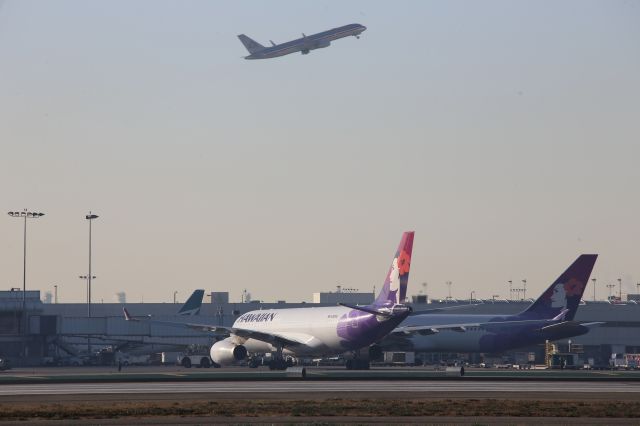 Airbus A330-200 (N390HA)