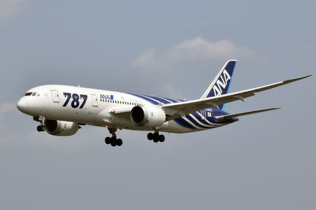 Boeing 787-8 (JA802A)