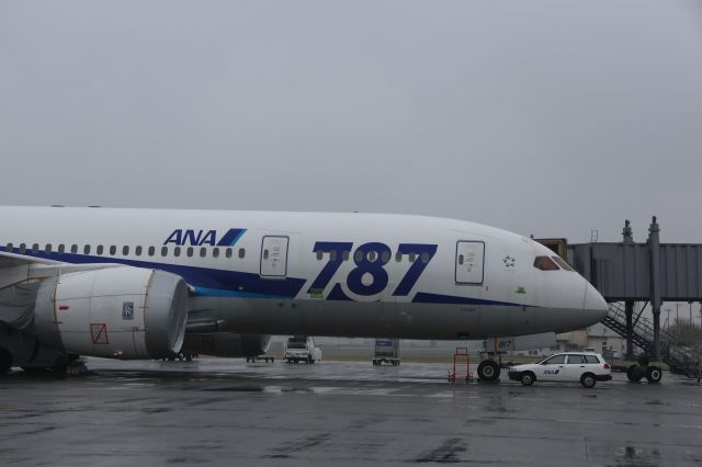 Boeing 787-8 (JA817A)