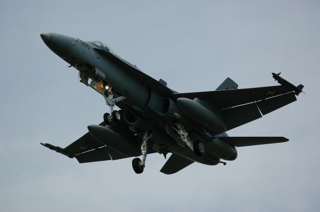 McDonnell Douglas FA-18 Hornet — - Swiss AF F-18