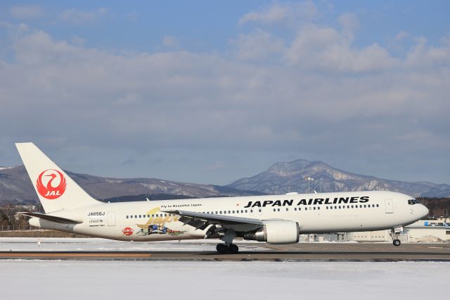 BOEING 767-300 (JA656J) - February 11th 2022:HND-HKD.