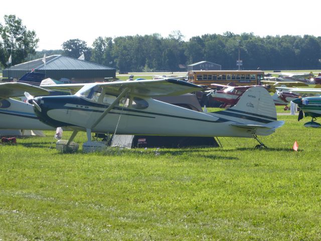 Cessna 170 (N1736D)