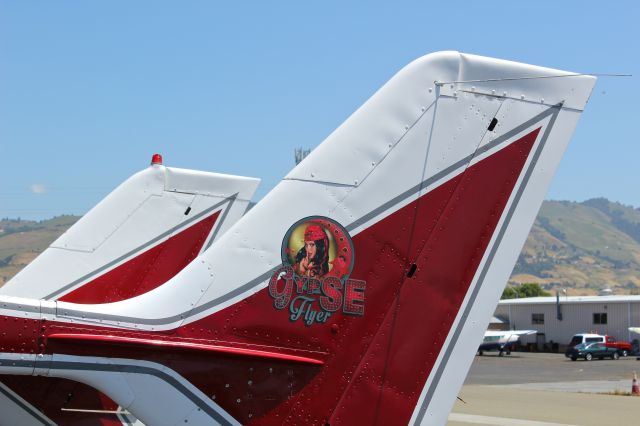 Cessna Super Skymaster (N9SE) - Alabama based 1974 Cessna T337G with fancy tail art at Reid Hillview Airport, San Jose, CA. Its interesting how this plane flies with the push/pull prop.